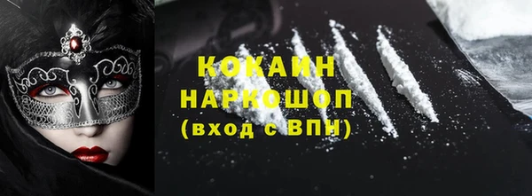 мет Алексин