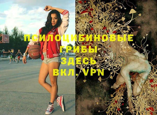 эйфоретик Алексеевка