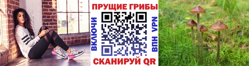 Псилоцибиновые грибы ЛСД  ОМГ ОМГ ONION  Коломна  купить  